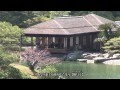 美しい松、庭の国宝