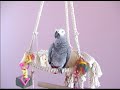khoren-mouradian-old-mcdonald-had-a-farm.html