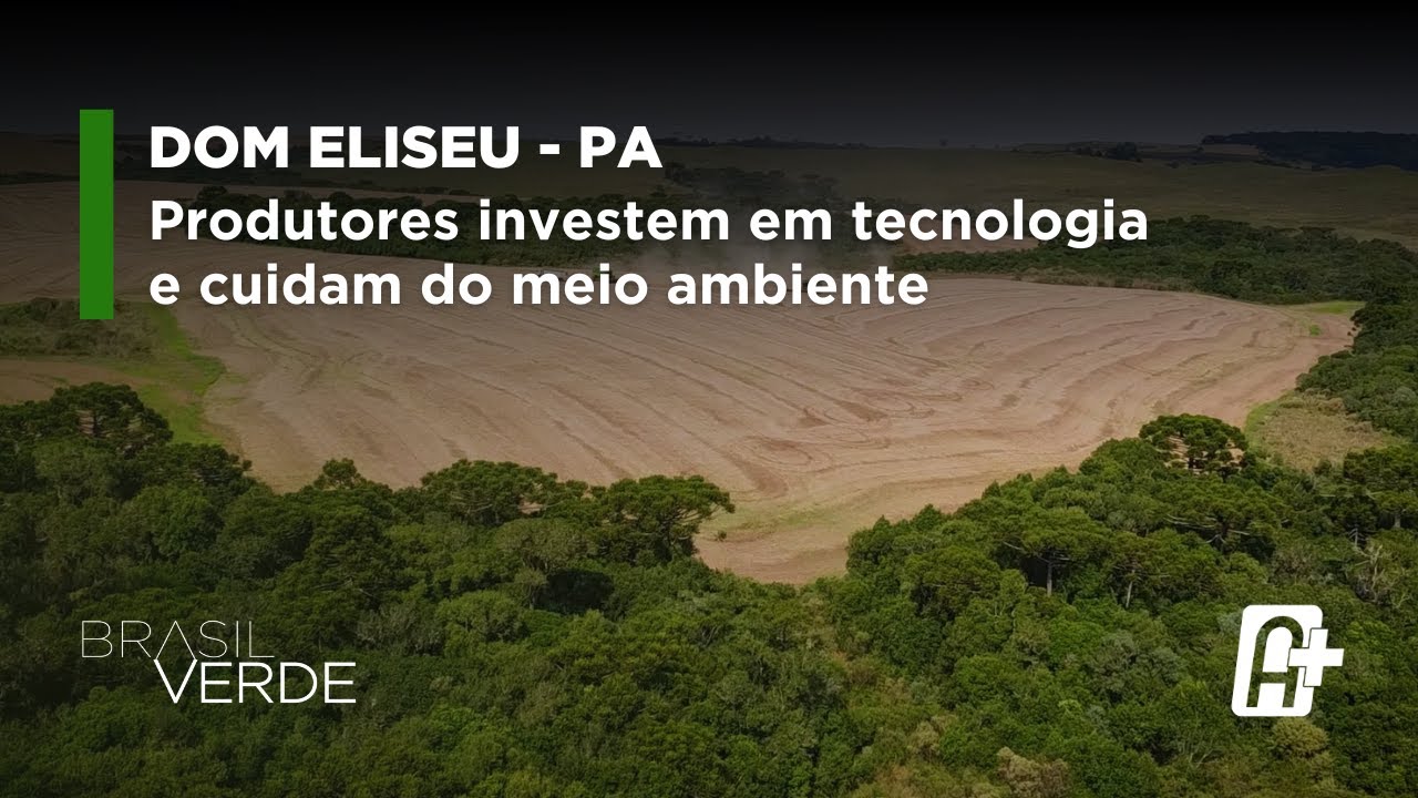 Dom Eliseu–PA tem cerca de 150 mil hectares de Cultivo de Alimentos com Alta Produtividade.