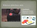 Estrous Detection