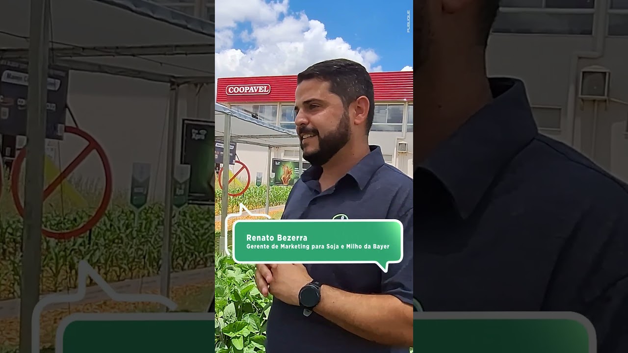 Renato Bezerra, Gerente de Marketing para Soja e Milho da Bayer