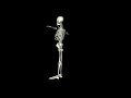 Skeleton HD TEST