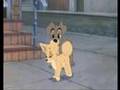 Scamp and Angel: Keep your mind wide open