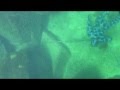Lake Michigan Spearfishing Wisconsin
