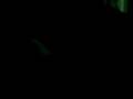 videos de mariarca e laura