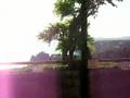 Duino Castle