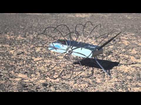 Angelicum- 2012 Google Lunar X PRIZE Team Interview