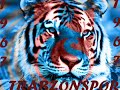 TRABZONSPOR 2008 YENİ KLİP-40.YIL MARSI
