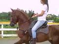 videos de Troton Galopero Arcangel Valerie Pagan practicando