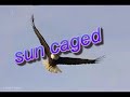 excellent song written by singer paul adrian villarreal from sun caged, from the album artemisia, by insiders the best progmetal album of 2007. http://www.suncaged.com