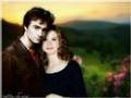 Bonnie Wright Daniel Radcliffe Ginny Weasley Harry Potter