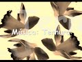 ternura   isabella taviani  legendado 