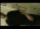 Mikol Fweak! Mikol Fweak!