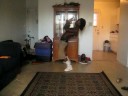 Robot Dance Juk\ Robot Dance Juk\