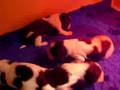 Luna x Egon 16 days