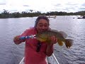 Fishing Peacock bass at Xingu River Lodge area