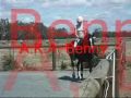 Running Waters High Flyer (Benny) Welsh Cob x For Sale