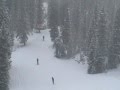 20081204 160551