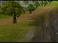 Empty Flaris - Flyff Fly For Fun
