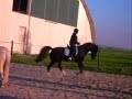 Balko - Balck Beauty Theme Song