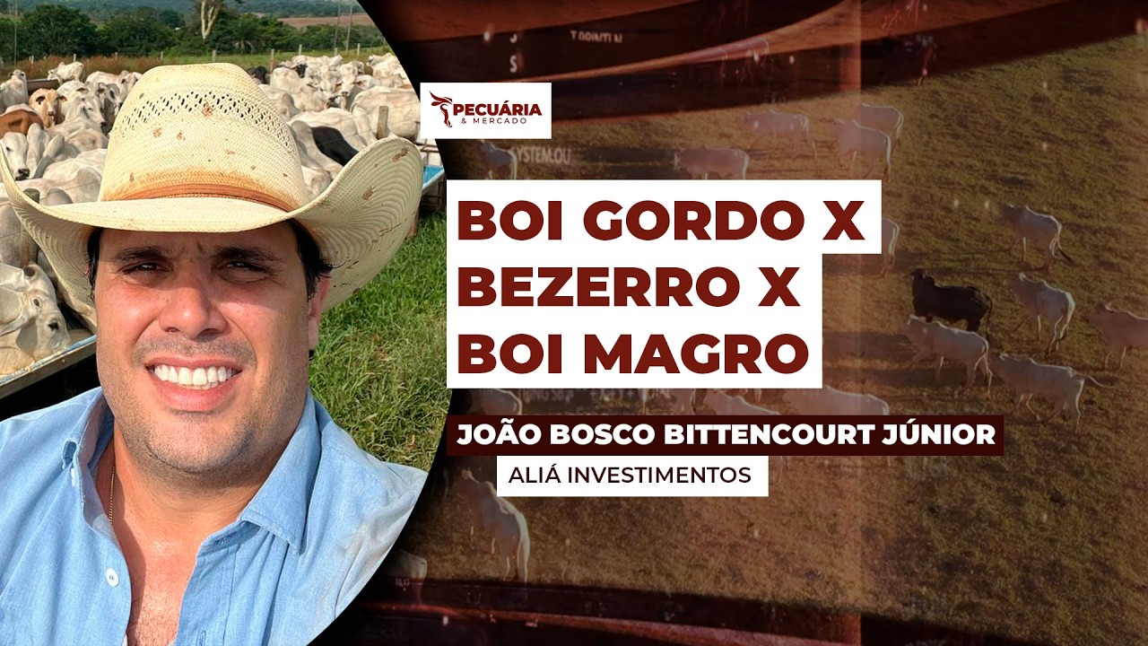 Relação de troca cada vez mais apertada requer estratégia e planejamento na hora de fazer a...