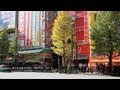 AKIHABARA / TOKYO 2011 ［秋葉原／東京］