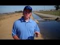 What makes a swim jig work?