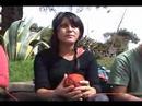 Bienvenida Preu