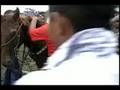 videos de 
