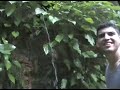 Ao Nang Krabi Nature HIKE - 2