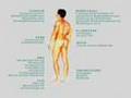 ArthroKlinik Augsburg - Spezialisten für Orthopädie und minimalinvasive orthopädische Chirurgie