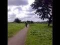 videos de 70cc puch homoet