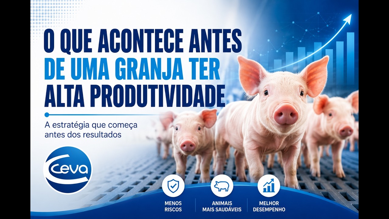 O que acontece antes de uma granja alcançar alta produtividade