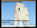 Cuento para crecer