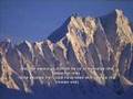 clip video Yusuf Islam Praise to the Prophet