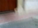 aburrimiento masivo 3