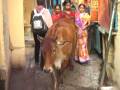 videos de Travel India-the Gangs River (part4)-along the rever 印度恒河之四：