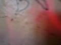 Foto v�deo