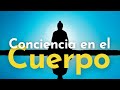 Mindfulness: Conciencia en el Cuerpo 