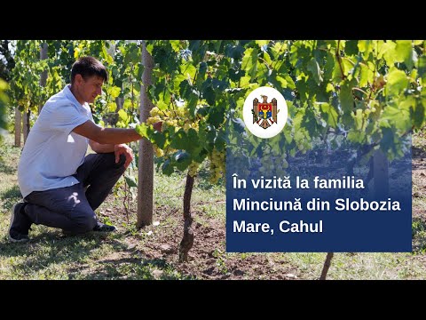 Șefa statului a vizitat la Slobozia Mare, Cahul, o familie de antreprenori locali