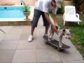 My Dog - Golden Days - Episode 1