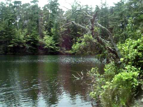 Lake Marie - Umpqua Lighthouse State Park - Oregon Coast
