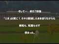 【最終版】上越新幹線とき325号【ありがとう】 あの一件