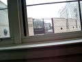 window screen removal