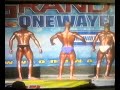 body building ifbb frasca francesco body building ifbb frasca francesco
