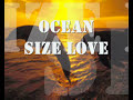 ocean size love ( by leigh nash ) 

i know what i'm doing may be dumb
i know i should not be staring at the sun
but the thought of you leads me to temptation
it's the same whatever side you're on
separated we are delicate and small
and the space between needs a retention

i see you right in front of me as close as you can get
and i pray that you won't leave this daydream yet

and it might seem much too far to get back to where you are
but it's close enough with an ocean size love
so if you can't reach out to me
send a sign across the sea and i'll pick it up with an ocean size love

i don't have to worry anymore
if i really need you i'll go to the shore
and the thought of you there is my protection

i see it right in front of me
a vision in my head
and i know this is as real as a daydream gets

and it might seem much too far to get back to where you are
but it's close enough with an ocean size love
so if you can't reach out to me
send a sign across the sea and i'll pick it up with an ocean size love

you make no sound but i can hear you in the wind
i can see this never ends
like the sea
like you for me

and it's close enough with an ocean size love
so if you can't reach out to me
send a sign across the sea and i'll pick it up with an ocean size love

and it might seem much too far to get back to where you are
but it's close enough with an ocean size love
so if you can't reach out to me
send a sign across the sea and i'll pick it up with an ocean size love