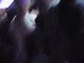 David Cook My Hero Glendale 070108