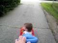 Molly in Driveway