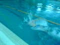 swimming talent