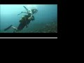 Moorea - Dive off of Cook\